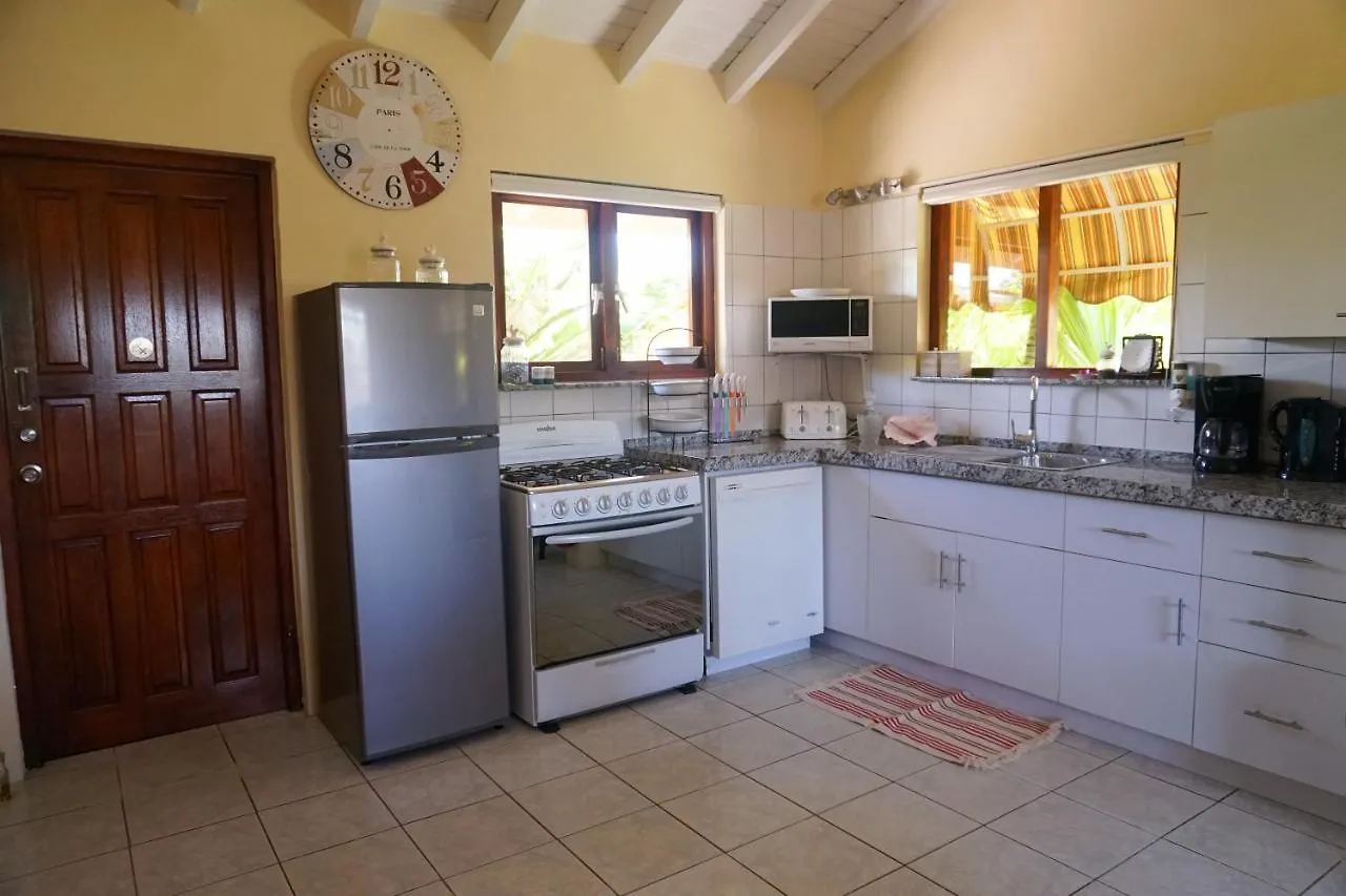 Carinas Studio Apartments Palm Beach Aruba