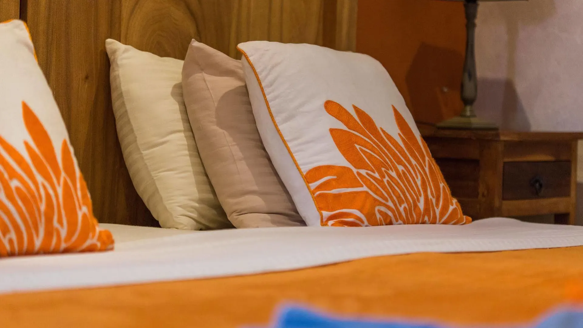 Carinas Studio Apartments Palm Beach